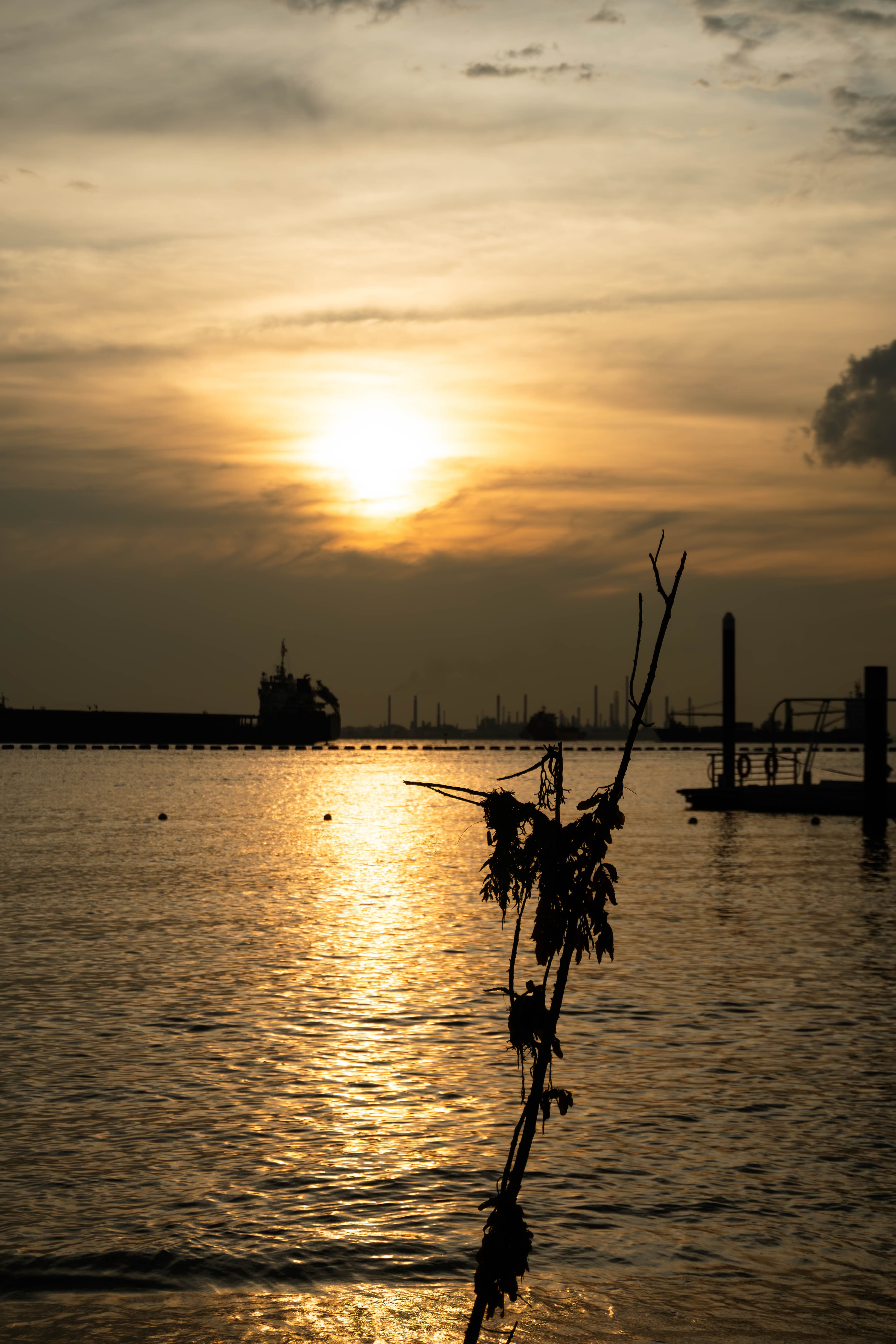 20241215-beach-golden.jpg