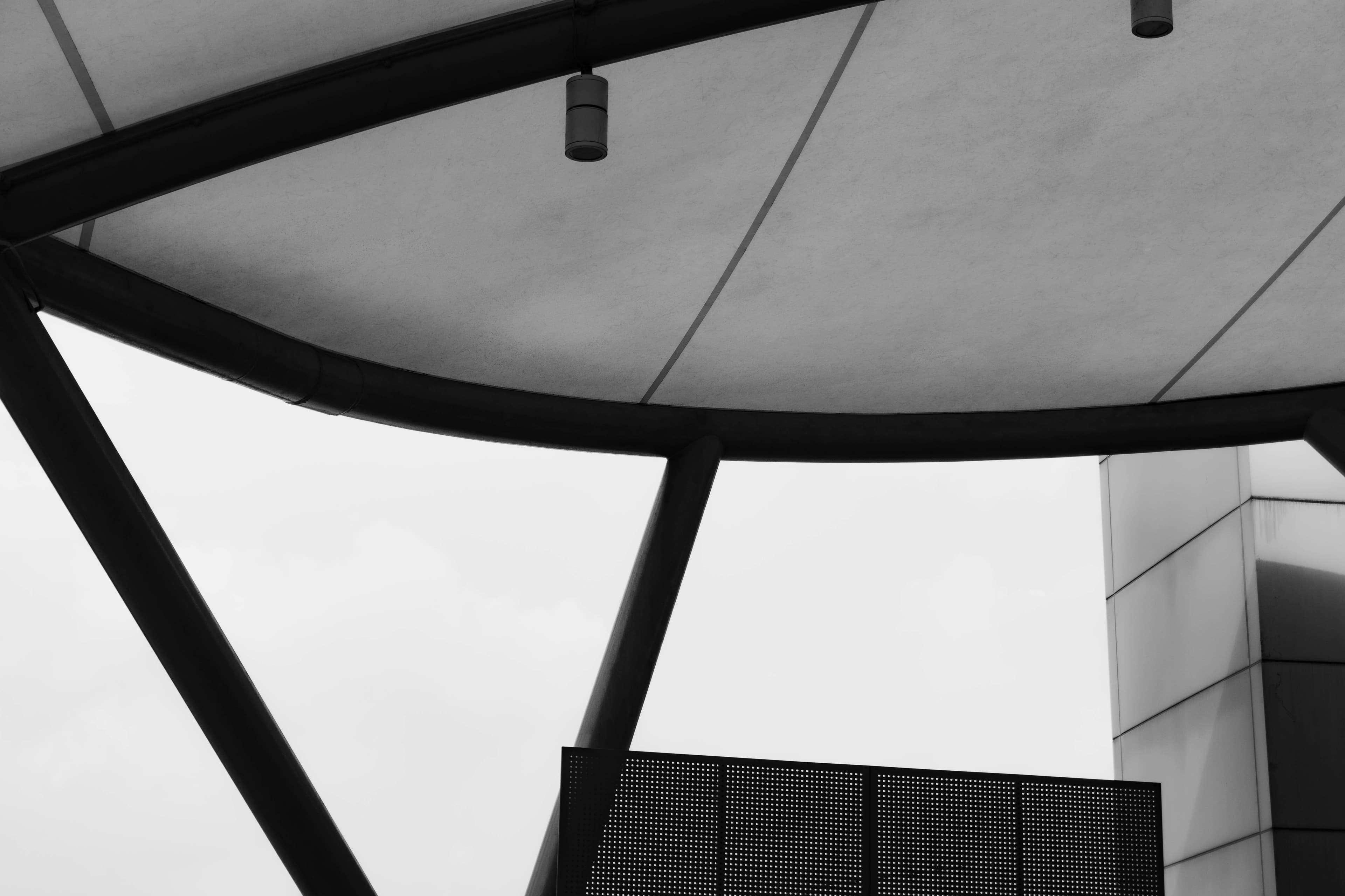 20250107-sim-bnw.jpg