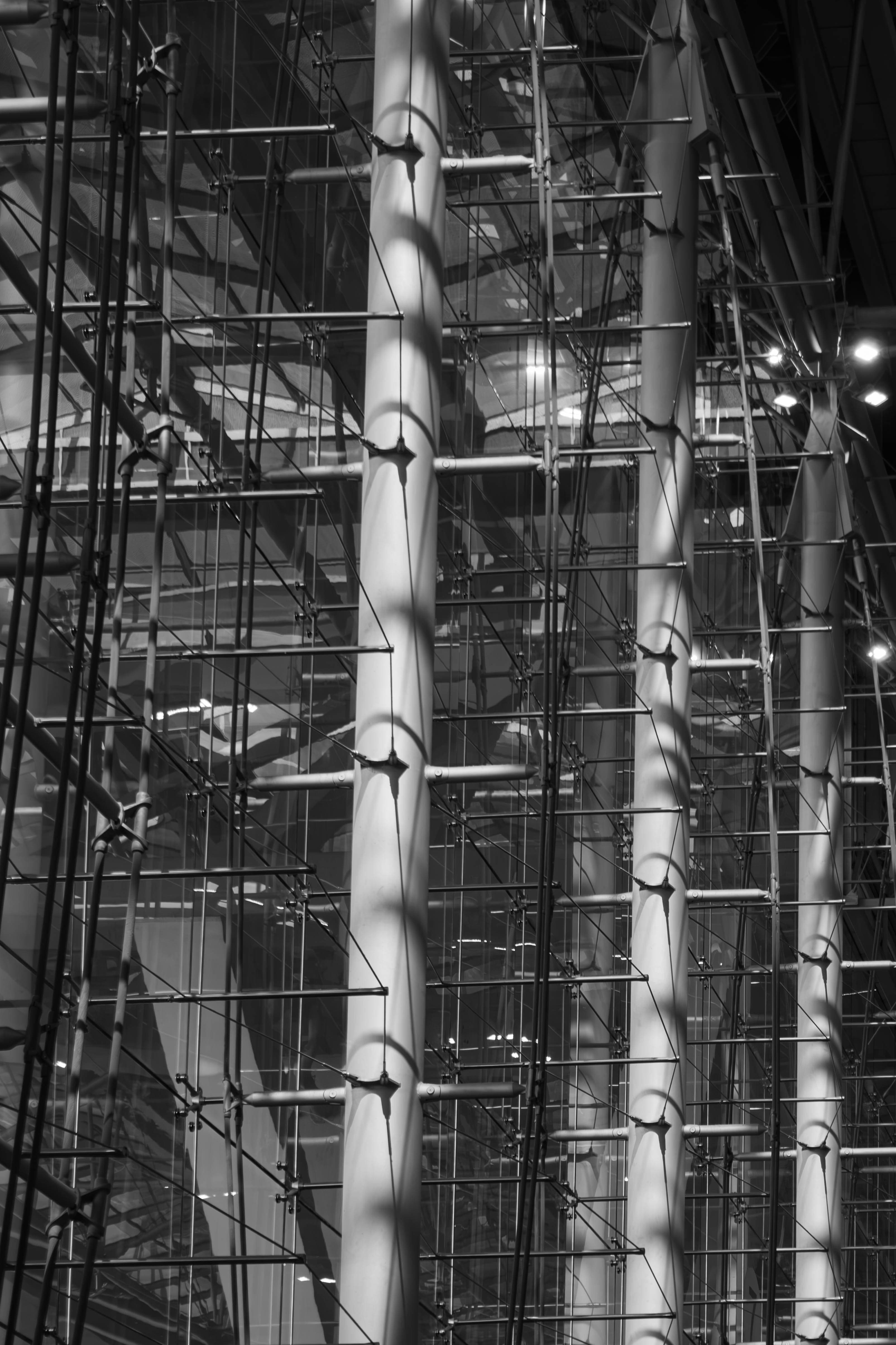 20250423-bnw-abstract.jpg