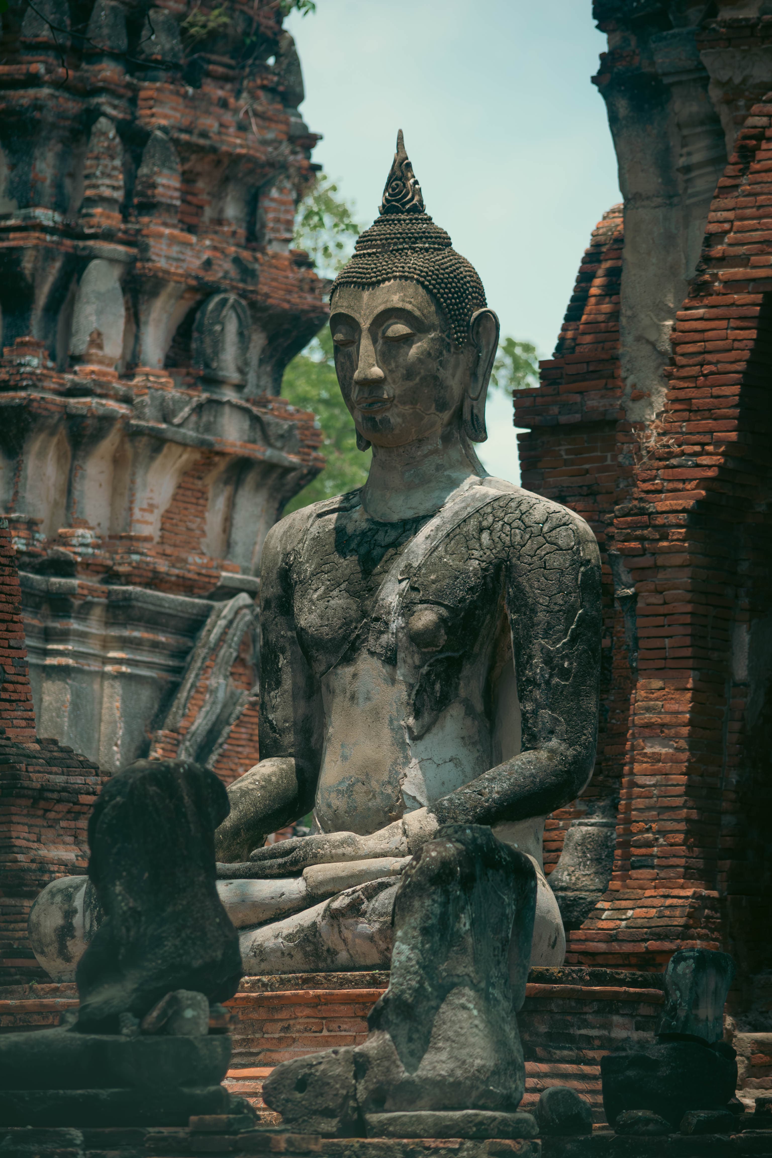 20250515-big-buddha-2.jpg