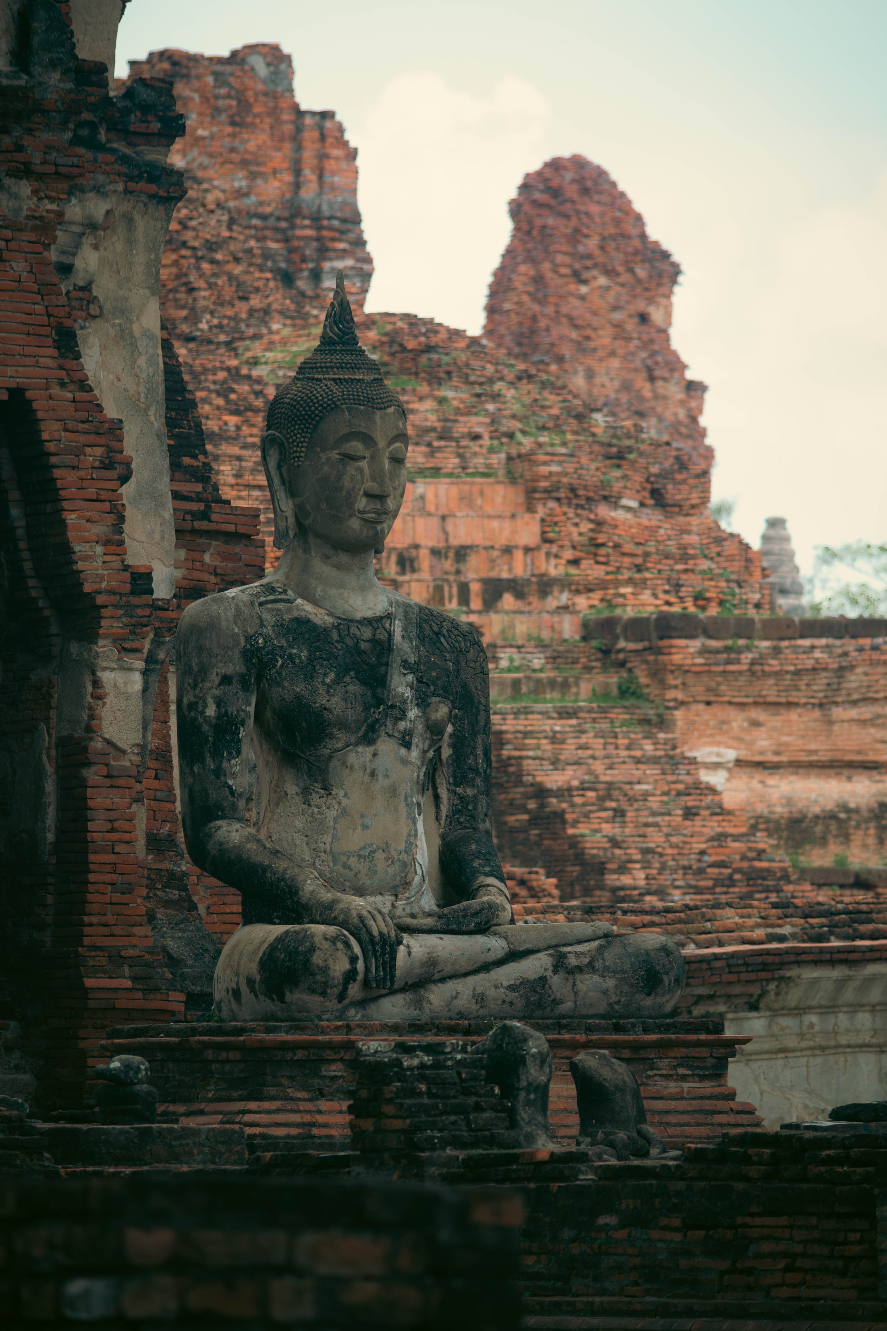 20250515-big-buddha.jpg