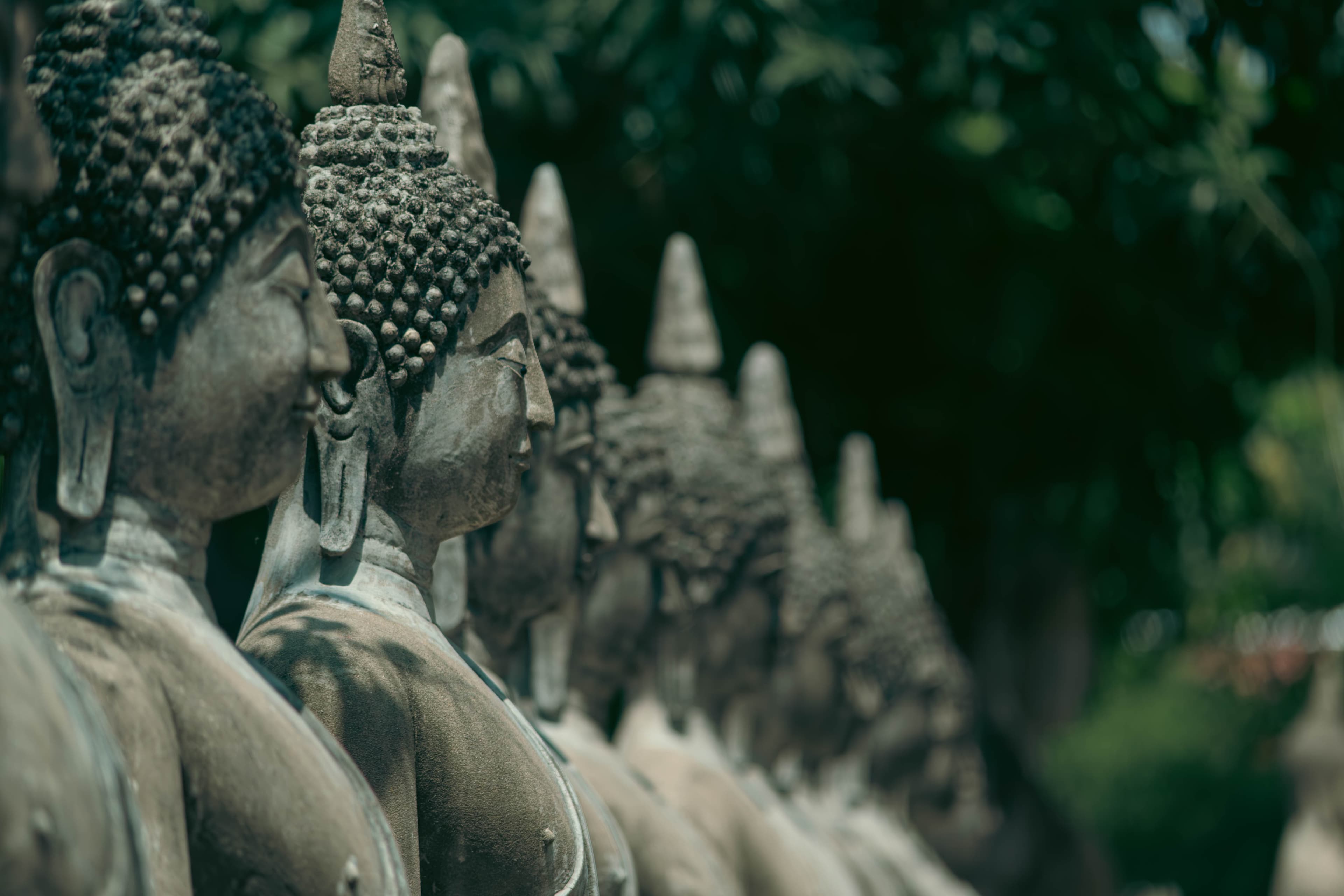 20250515-buddhas.jpg