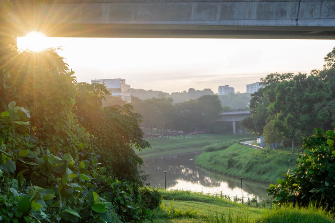 landscape-grass-sun-water.jpg